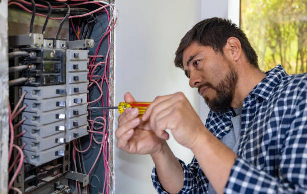 Best Electrical Maintenance Services  in Carpendale, WV